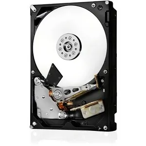 Western Digital-0F22961