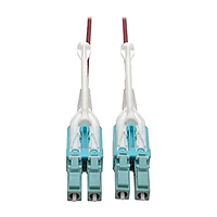 Tripp Lite-N821-01M-MG-T