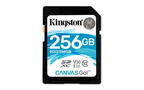 KINGSTON-SDG256GB