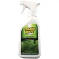 Cerama Bryter GVI31756