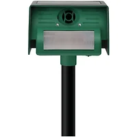 P3 International-P7817