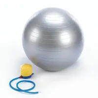 Home Locomotion-10016678