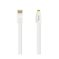Apple-DC18-8PWH