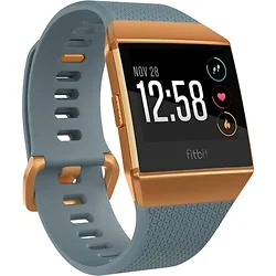 Fitbit-FB503CPBU