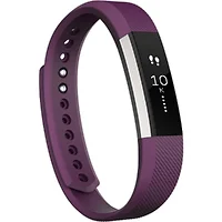 Fitbit-FB406PMS