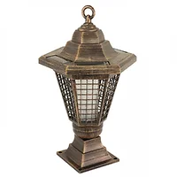 Home Locomotion-12010834