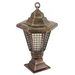 Home Locomotion-12010834