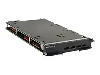 Extreme Networks-BR-MLX-40GX4-M