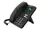 FON-175