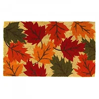 Summerfield Terrace-10018560