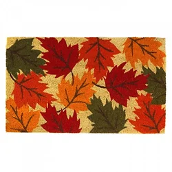 Summerfield Terrace-10018560