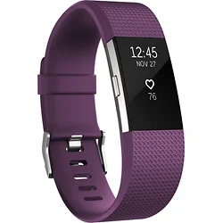 Fitbit-FB407SPMS