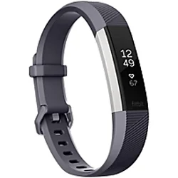 Fitbit-FB408SGYL