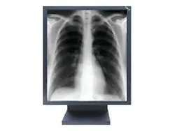 SHARP NEC-MD21GS-2MP-BKCB2