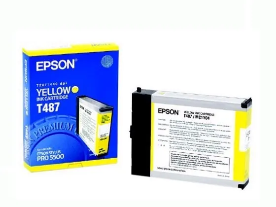 EPSON-T487011