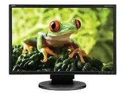 SHARP NEC-EA241WM-BK