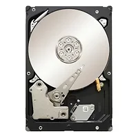 SEAGATE-ST32000644NS-20PK