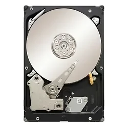 SEAGATE-ST32000644NS-20PK