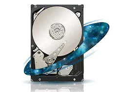 SEAGATE-ST31000425SS