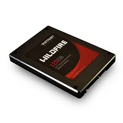 Patriot Memory-PW120GS25SSDR