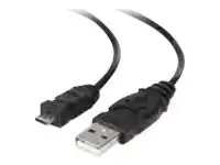 Belkin-F3U151B03