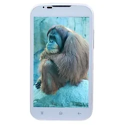 Maxwest-WHT-ORBIT-51DC