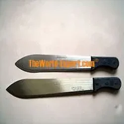 PRINT MANAGER-M21216