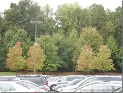 PRINT MANAGER-M32303