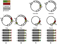 Source Technologies-SS-PL-211