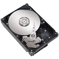 SEAGATE-ST3160215A-25PK