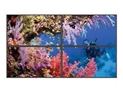 SHARP NEC-P552-TMX4D