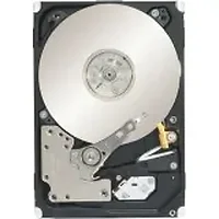 SEAGATE-ST91000640NS-30BLK