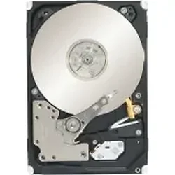 SEAGATE-ST91000640NS-30BLK