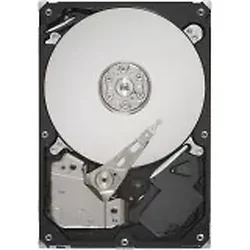 SEAGATE-ST3500514NS-IM