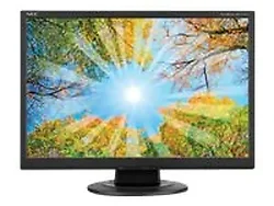 SHARP NEC-AS191WM-BK