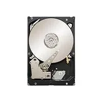 SEAGATE-ST500NM0001