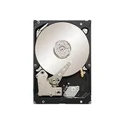 SEAGATE-ST500NM0001