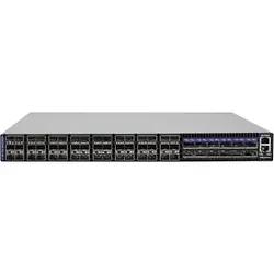 Mellanox-MSX1024B-1BRS