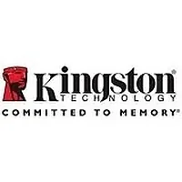 KINGSTON-SE50S37/100G