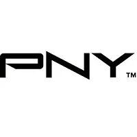 PNY Technologies-030-0230-000