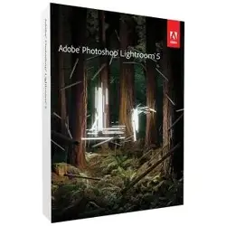 Adobe-65215211