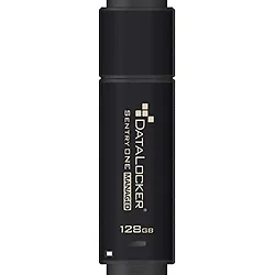 DataLocker-SONE128M