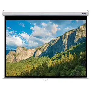 Hamiltonbuhl WS-W6080 - 100-inch Manual Pull-Down Projector Screen