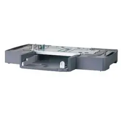 EPSON-C800321