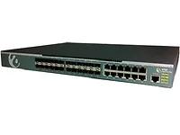 AMER NETWORKS-SS3GR1028F