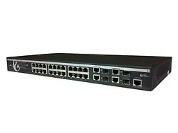 AMER NETWORKS-SS2R24G4I