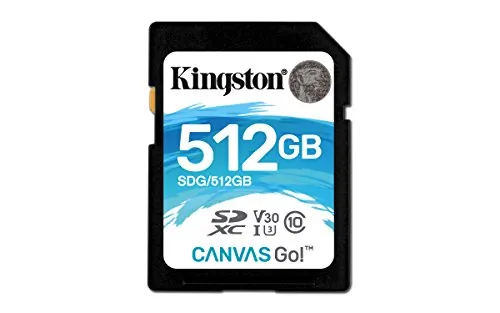 KINGSTON-SDG512GB