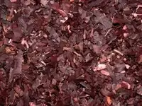 ENET-HDMIM-DVIM-1M-ENC