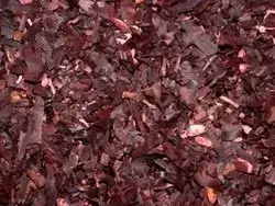 ENET-HDMIM-DVIM-1M-ENC