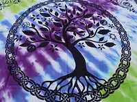 ENET-SFC2-HPJN-5M-ENC